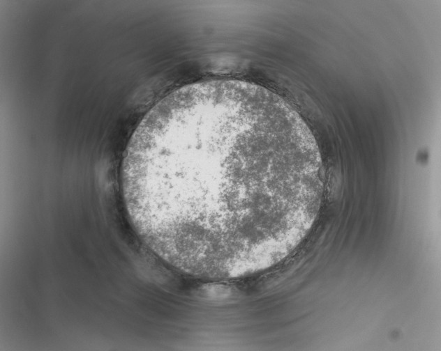 X0000116610272201001221325