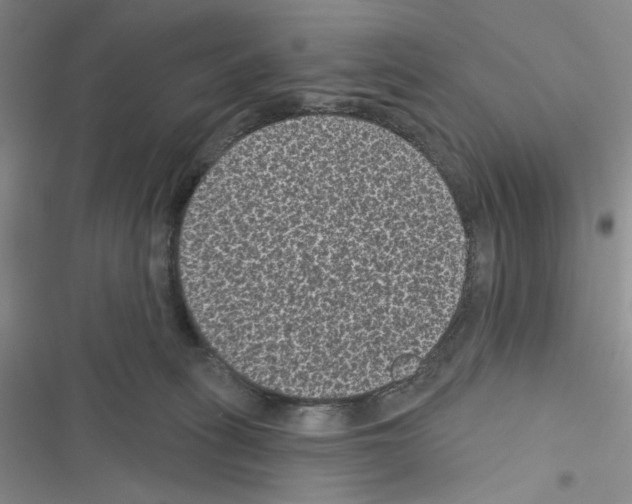 X0000116610275201001221325