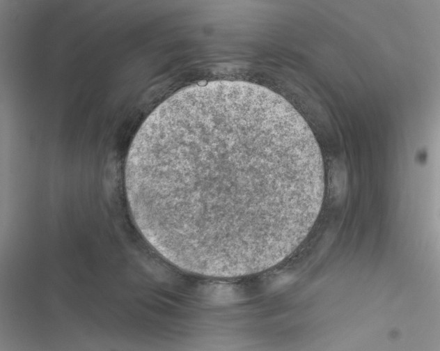 X0000116610276201001221325