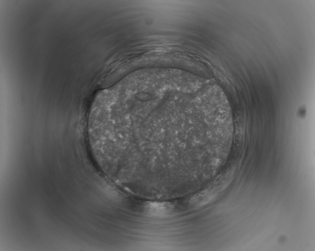 X0000116610277201001221325