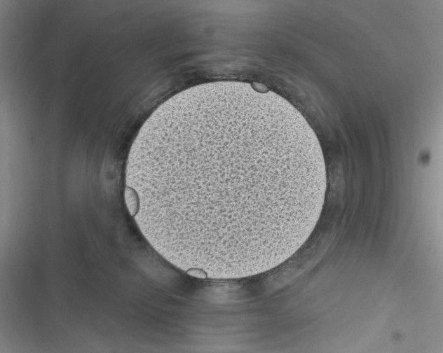 X0000116610278201001221325