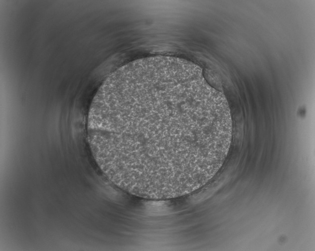 X0000116610281201001221325