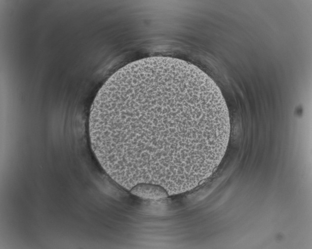 X0000116610282201001221325