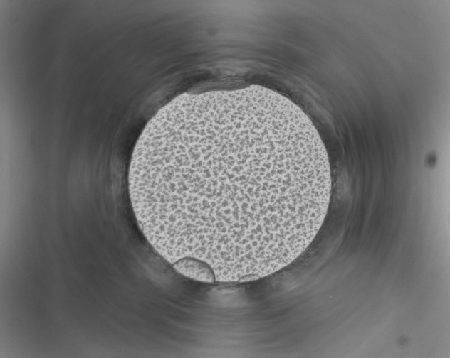 X0000116610283201001221325