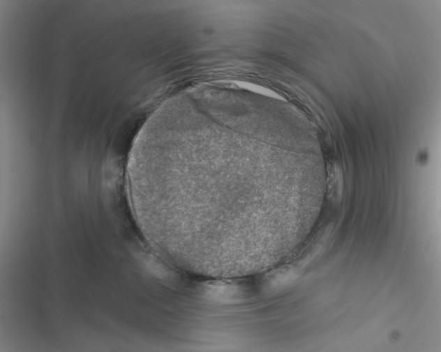 X0000116610284201001221325