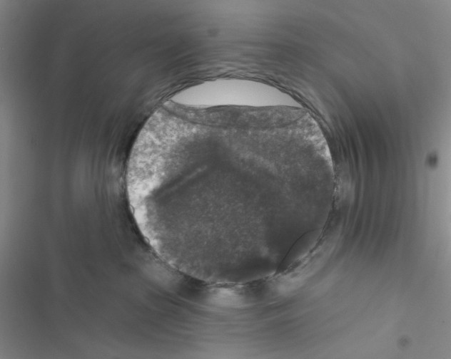 X0000116610285201001221325