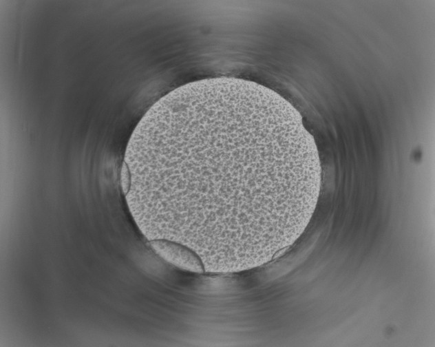 X0000116610286201001221325