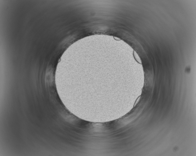 X0000116610287201001221325