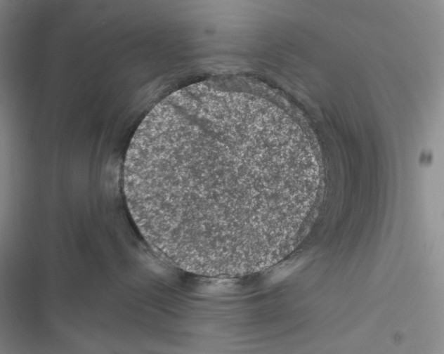 X0000116610288201001221325