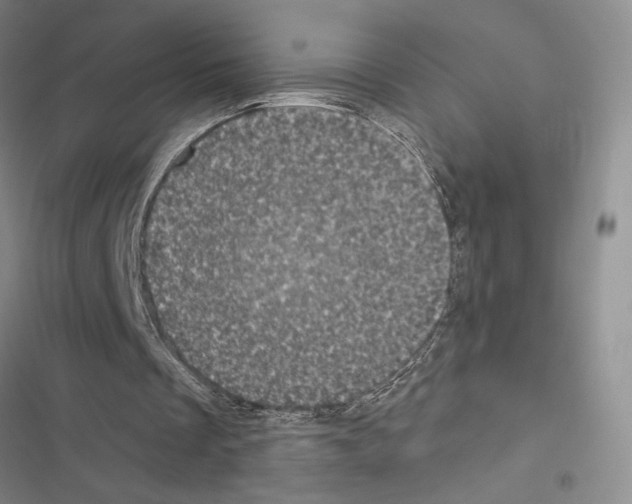 X0000116610289201001221325