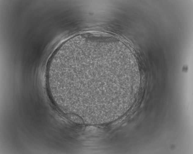 X0000116610290201001221325