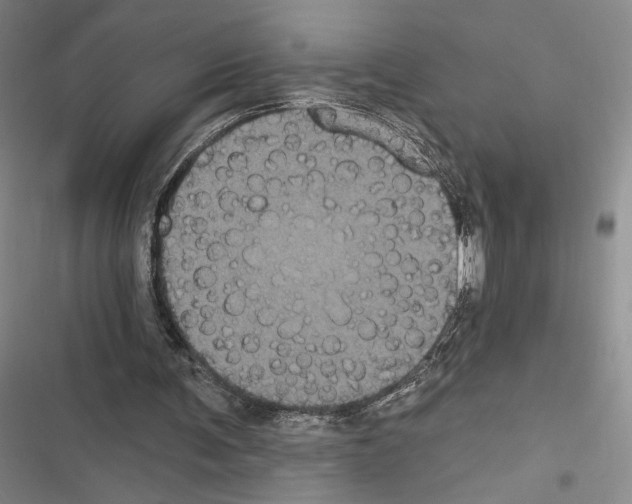 X0000116610291201001221324