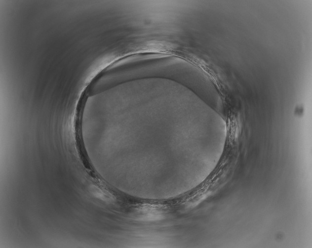 X0000116610292201001221324