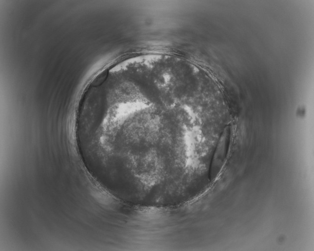 X0000116610293201001221324