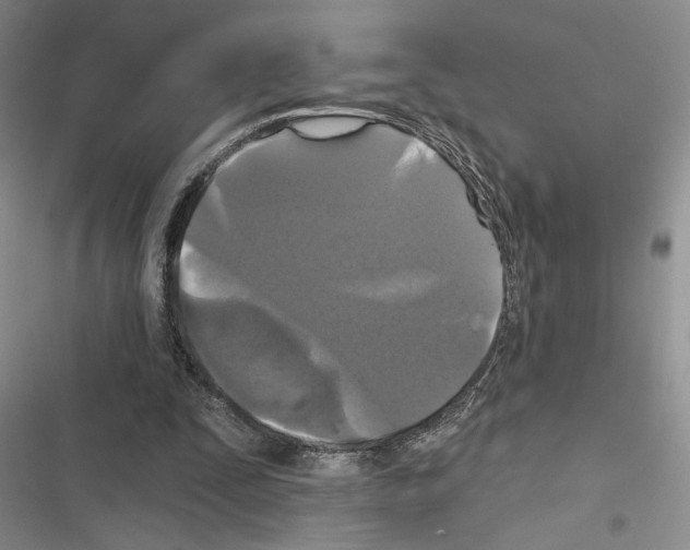 X0000116610295201001221324