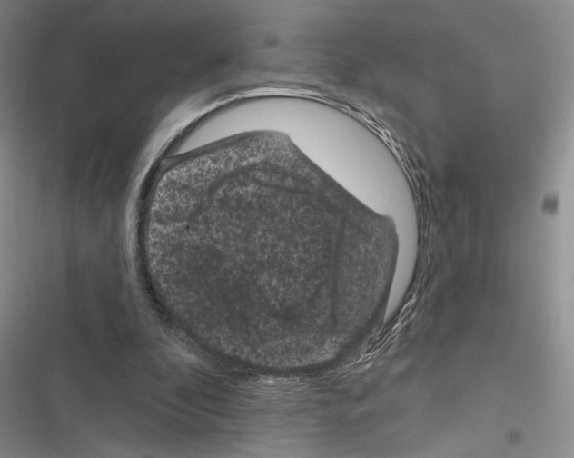 X0000116610296201001221324