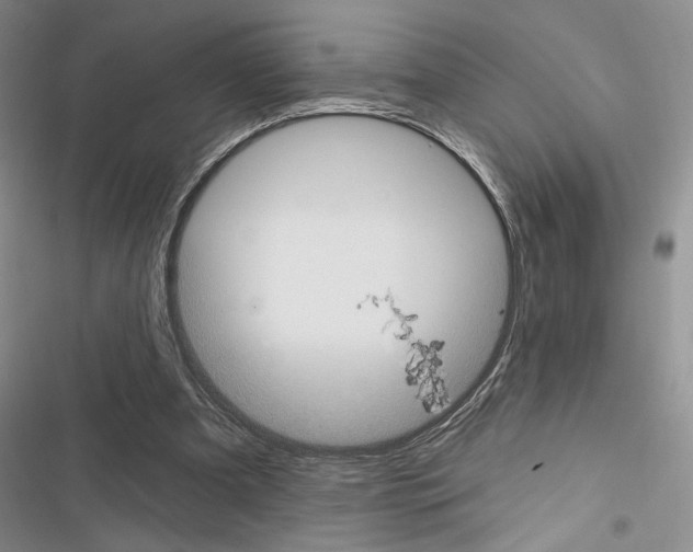 X0000116610297201001221324