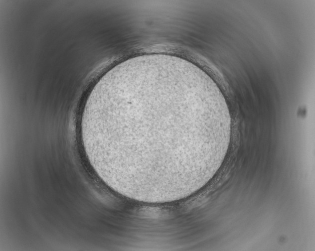 X0000116610298201001221324