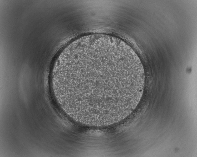 X0000116610299201001221324