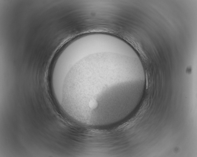 X0000116610300201001221324