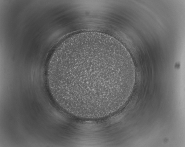 X0000116610302201001221324