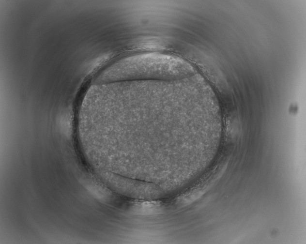 X0000116610304201001221324