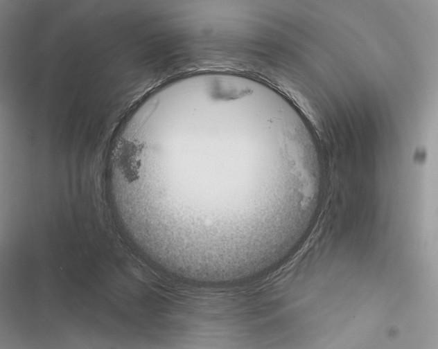 X0000116610305201001221324