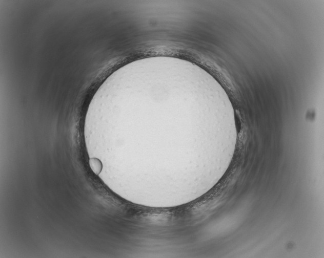 X0000116610306201001221324