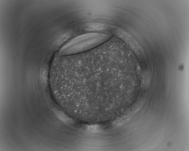 X0000116610309201001221324