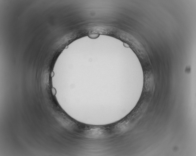 X0000116610310201001221324