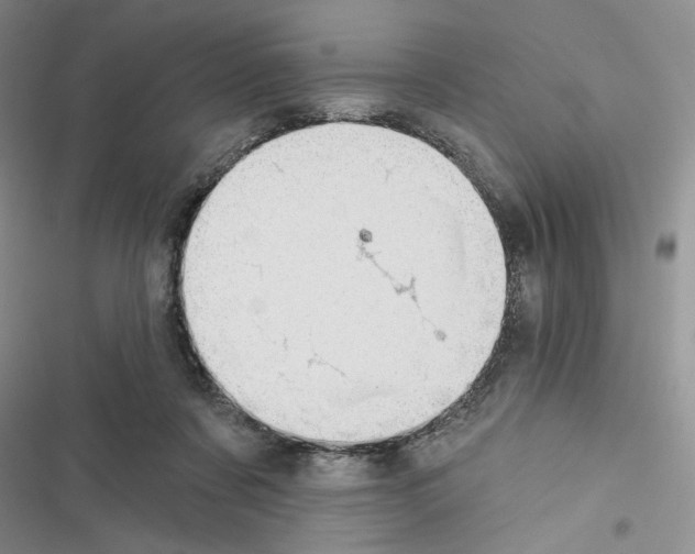 X0000116610311201001221324