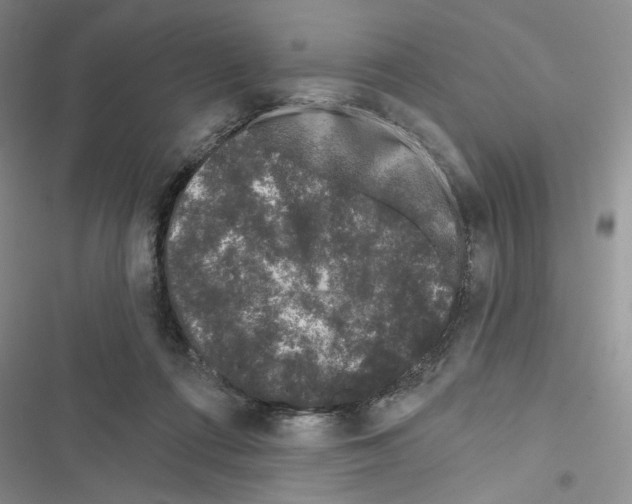 X0000116610312201001221324