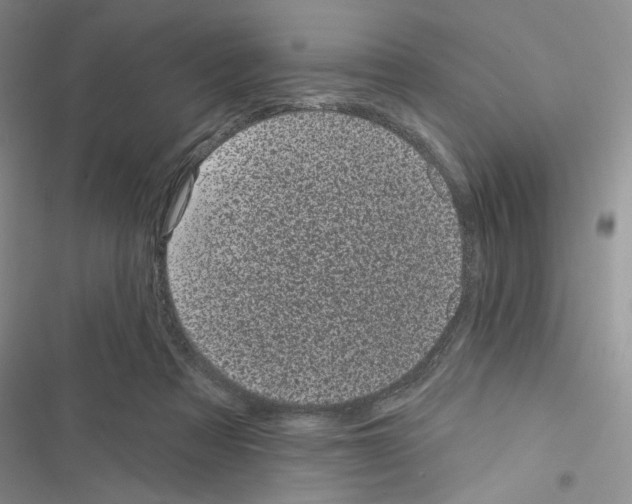 X0000116610313201001221324