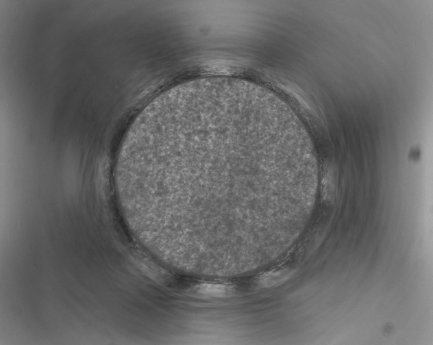 X0000116610314201001221324