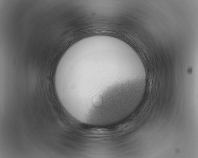 X0000116610316201001221324