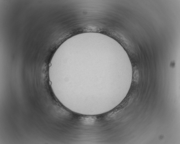 X0000116610318201001221324