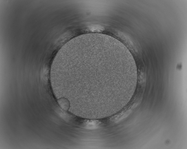 X0000116610321201001221324