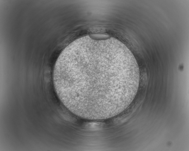 X0000116610323201001221324