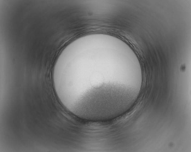 X0000116610325201001221324