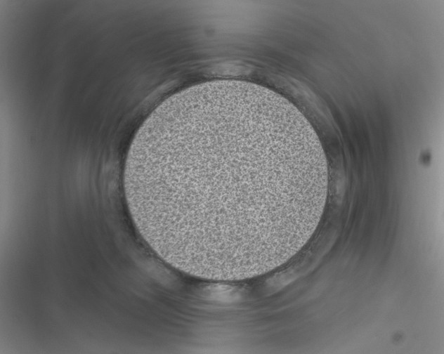 X0000116610326201001221324