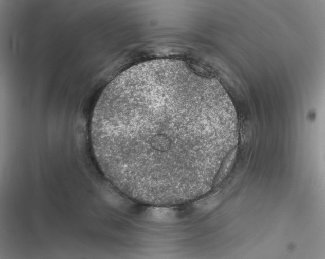 X0000116610327201001221324