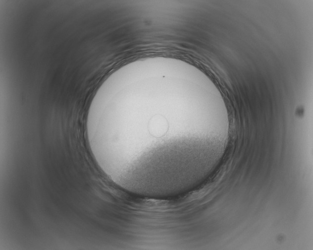 X0000116610328201001221324