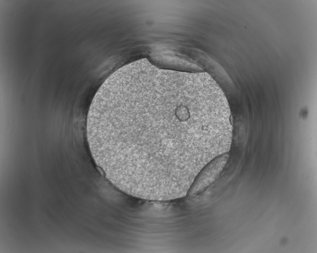 X0000116610329201001221324