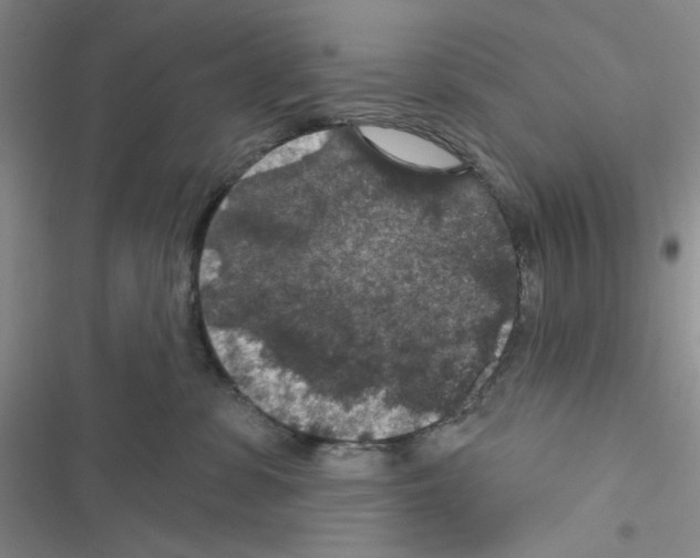 X0000116610331201001221324