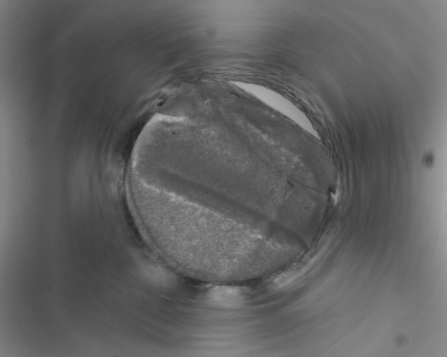 X0000116610332201001221324