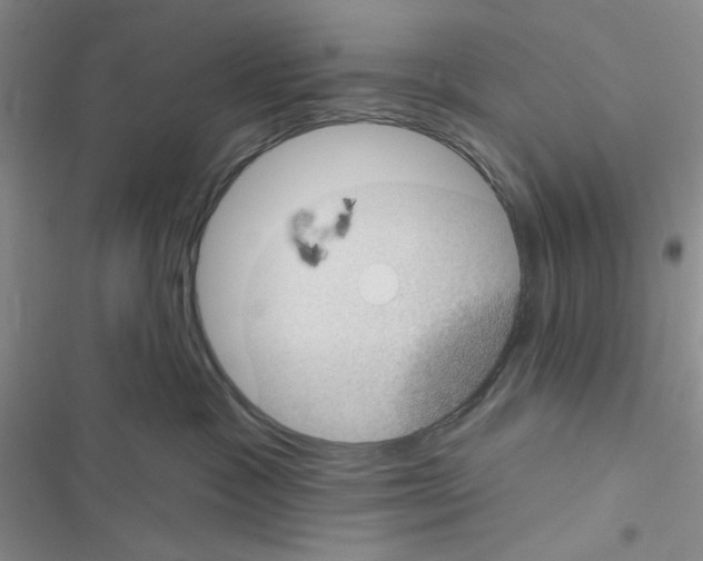 X0000116610333201001221324