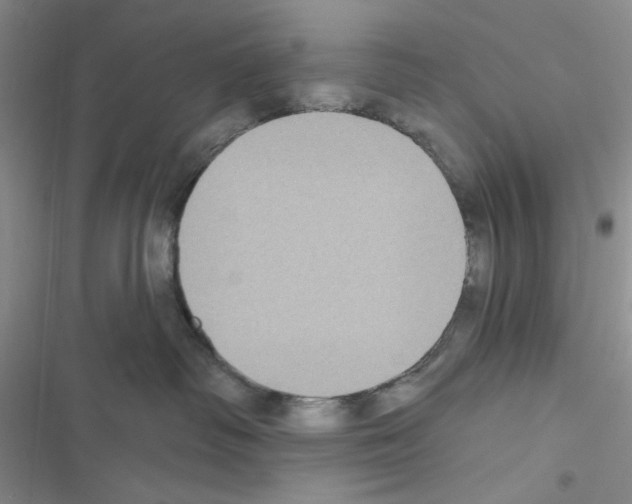 X0000116610334201001221324