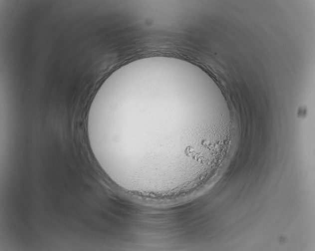 X0000116610336201001221324