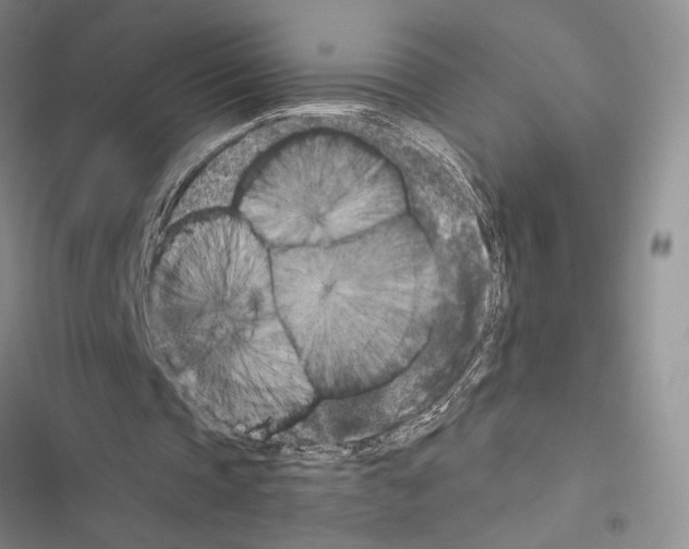 X0000116610337201001221323