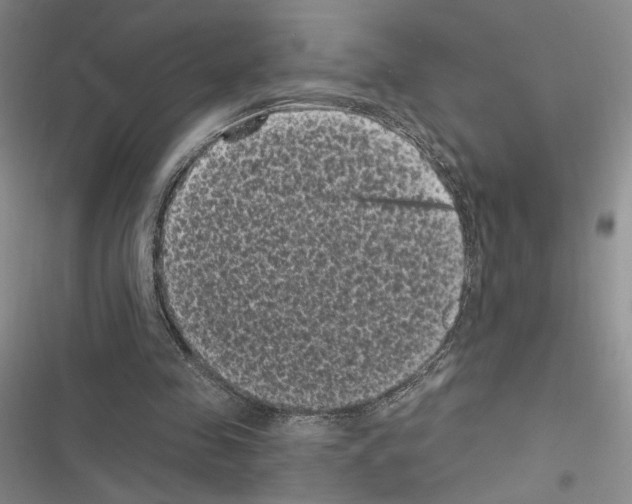 X0000116610341201001221323